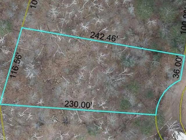 Land for sale in Swiss, Wisconsin