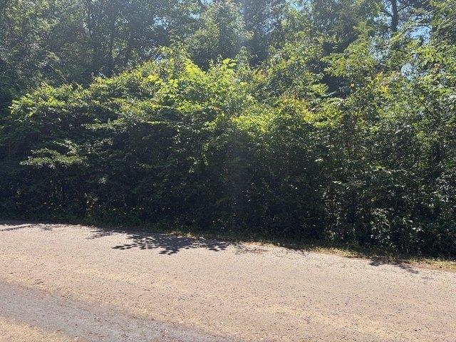 Land for sale in Harrison, Texas