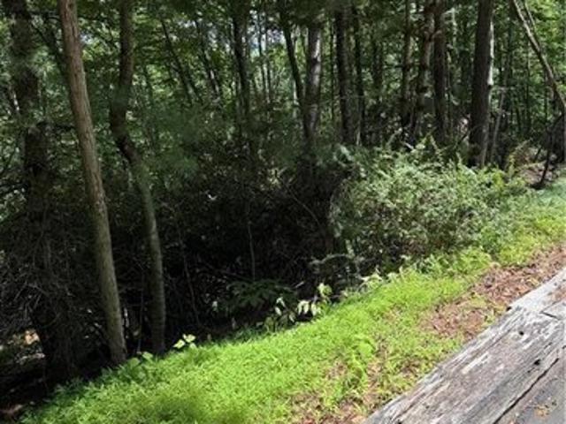 Land for sale in Alleghany, North Carolina