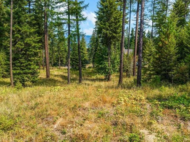Land for sale in Priest River, Idaho
