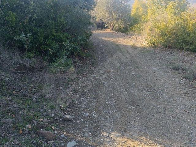 Samandağ, Hatay içerisinde satılık Arsa
