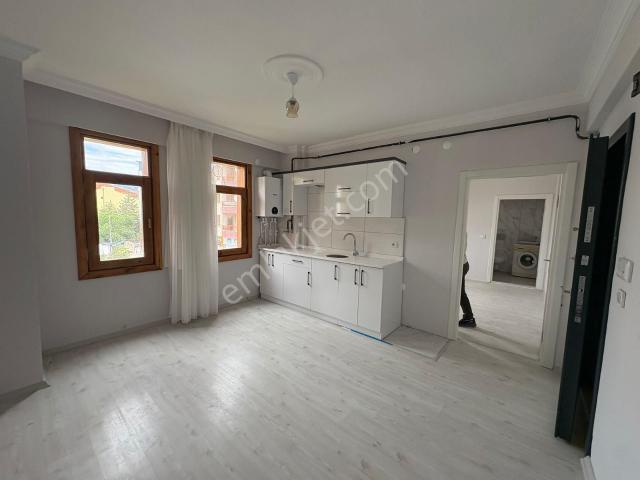 Tokat Merkez, Tokat içerisinde kiralık mülk