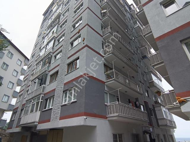 Orta, Akçaabat içerisinde satılık mülk