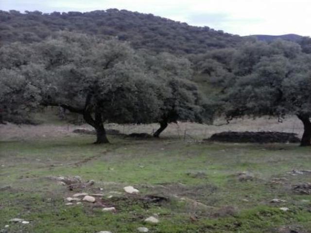 Local Comercial en venta en Sierra de Huelva, Andalucía