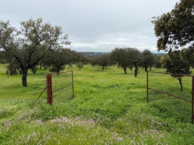 Terreno en venta en Alcaracejos, Andalucía