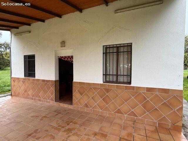 Local Comercial en venta en Alcaracejos