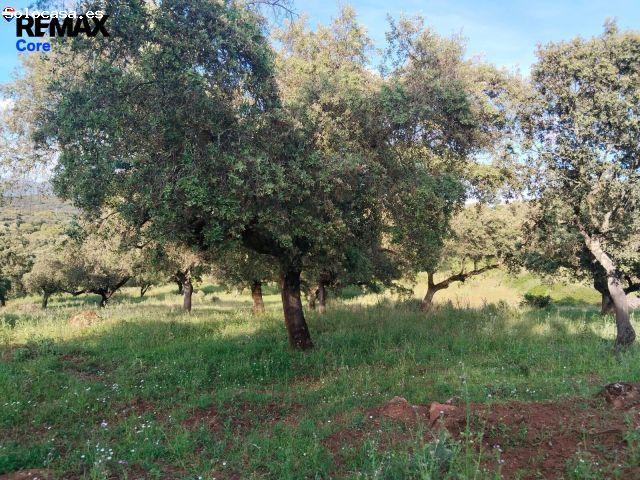 Local Comercial en venta en Sierra Suroeste, Extremadura