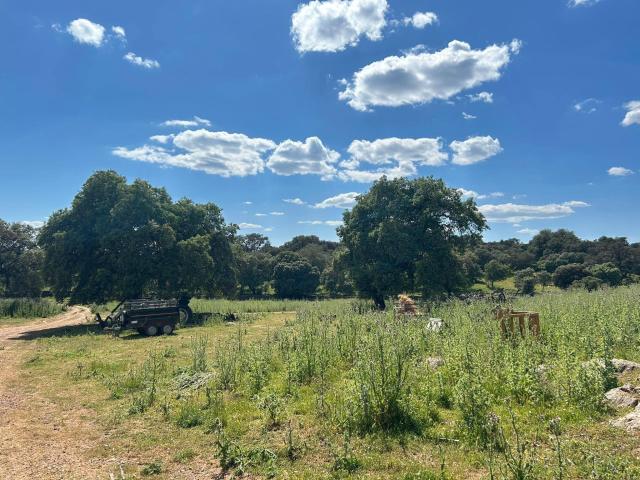 Terreno en venta en Alanís