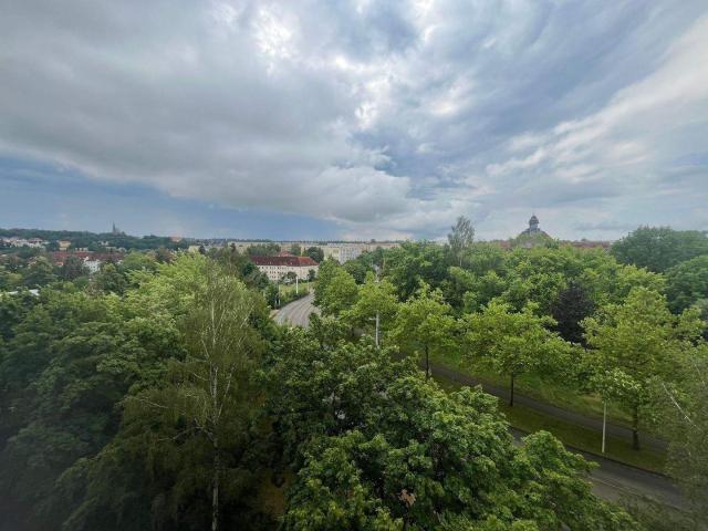 Apartment mieten in Neuplanitz, Zwickau