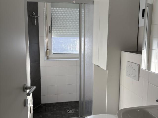 Apartment mieten in Fischhub, Steyr