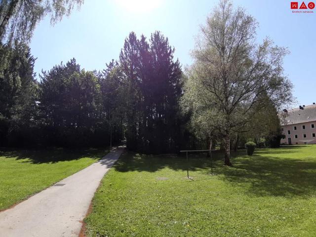 Wohnung mieten in Steyr
