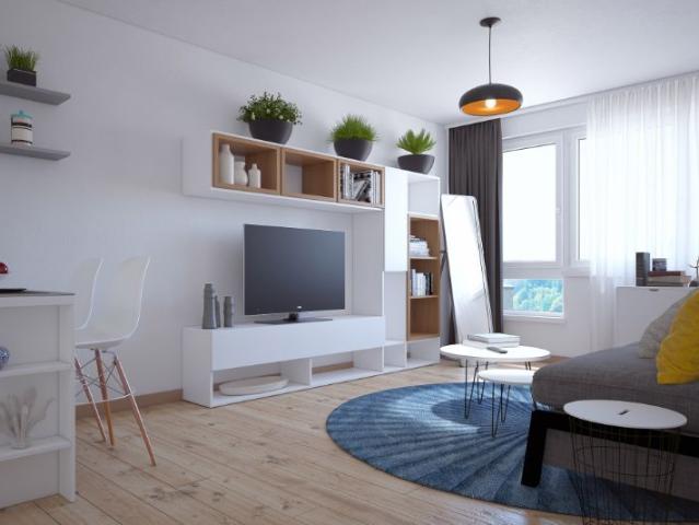 Apartment mieten in Neustädter See, Magdeburg