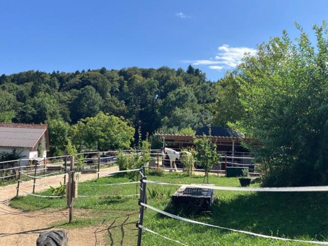 Einfamilienhaus kaufen in Gnas, Steiermark
