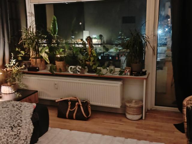 Lejlighed til leje i København, Brøndby