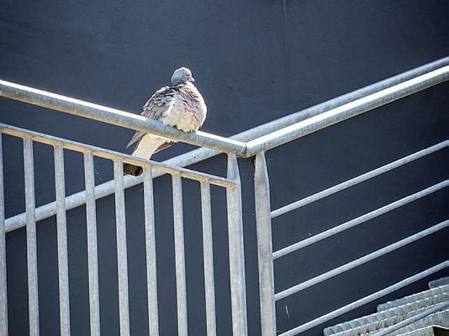 Lejlighed til leje i Holstebro, Århus