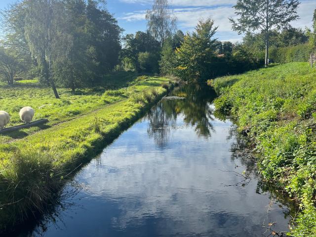 Ejendom til leje i Svenstrup J, Brønderslev-Dronninglund