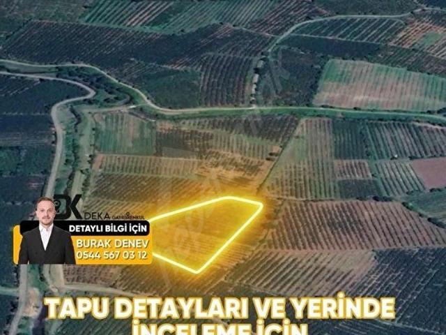 Çarşamba, Samsun içerisinde satılık Arsa