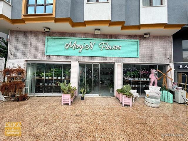 Atakum, Samsun içerisinde satılık mülk