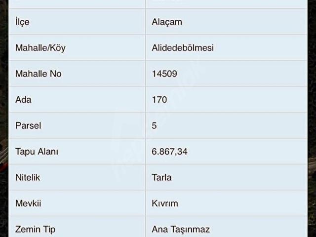 Parmağı, Alaçam içerisinde satılık Arsa