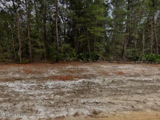 Land for sale in Interlachen Land for sale in Interlachen