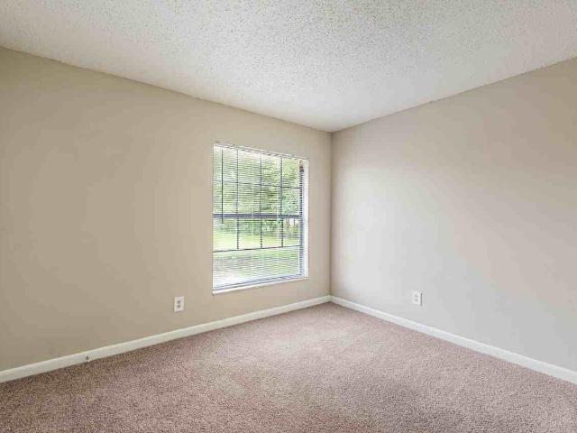 Apartment for rent in Tampa, Florida