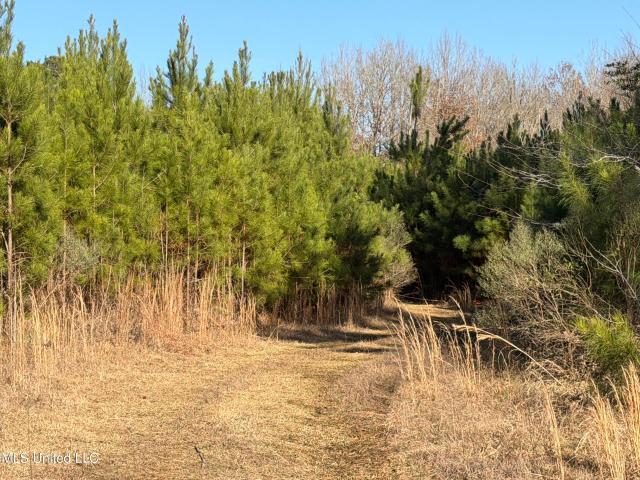 Land for sale in Braxton, Mississippi