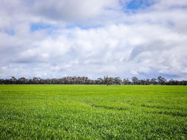 Acreage for sale in Goroke, Shire of West Wimmera
