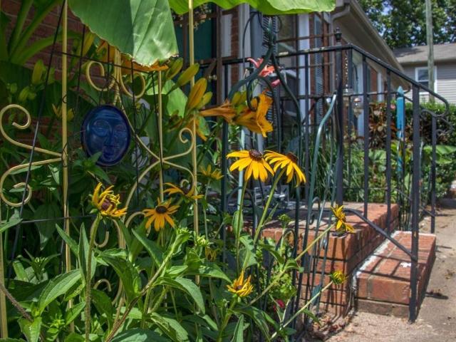 Apartment for rent in Mecklenburg, North Carolina
