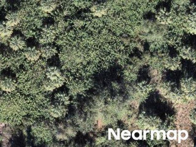 Land for sale in Punta Gorda