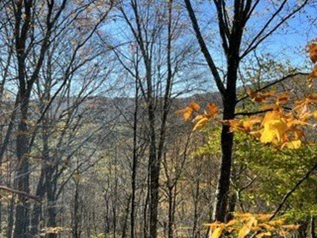 Land for sale in Bloomville, New York