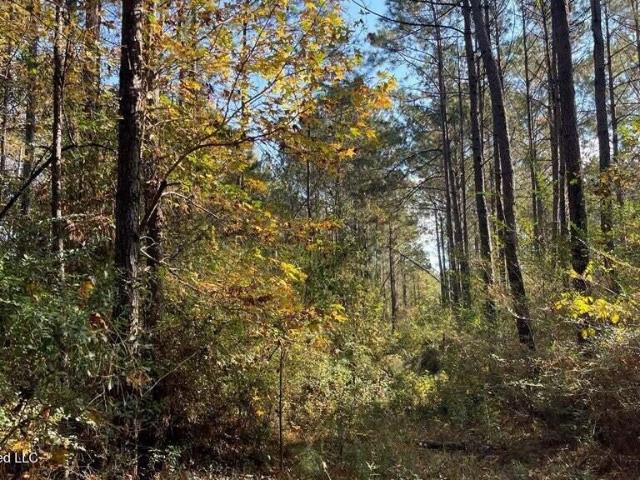 Land for sale in Mccomb, Mississippi