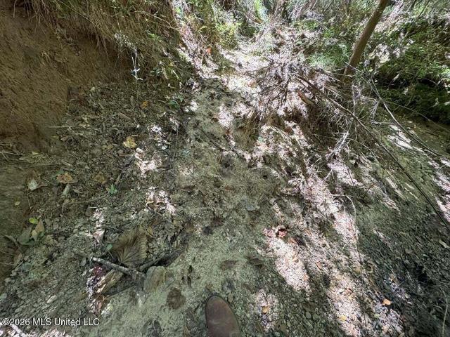 Land for sale in Mccomb, Mississippi