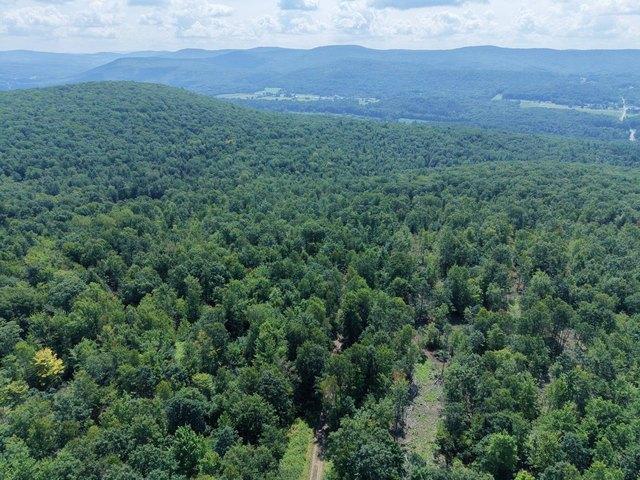 Land for sale in Davenport, New York