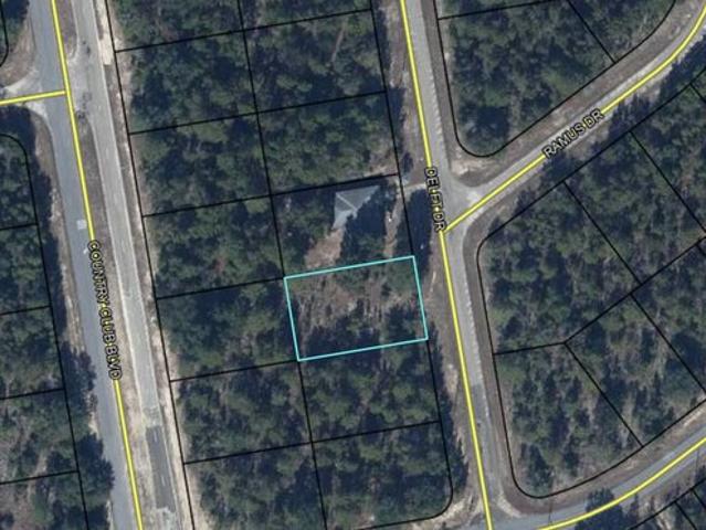 Land for sale in Chipley, Florida