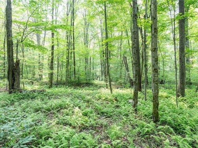 Land for sale in Delhi