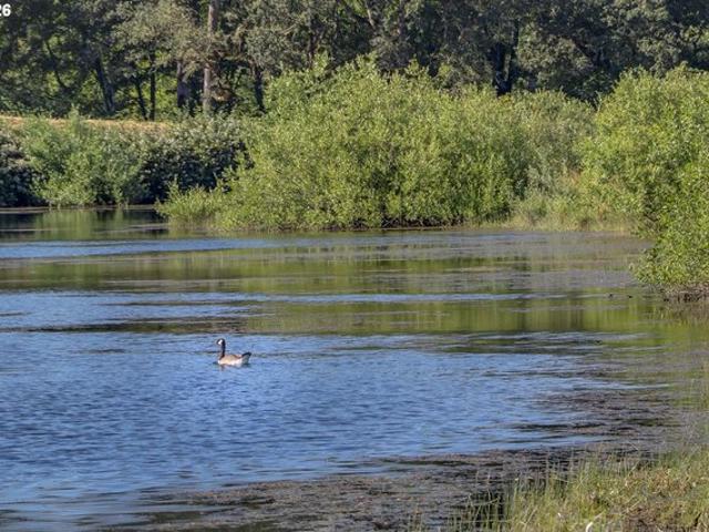 Land for sale in Oregonia