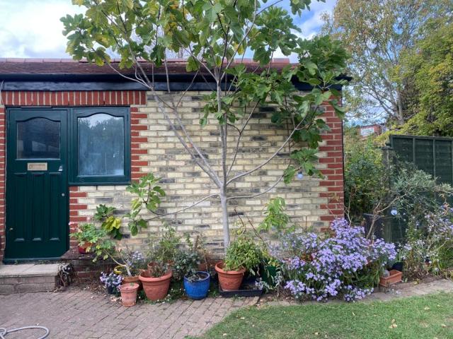 Apartment for rent in London Borough of Enfield, Greater London
