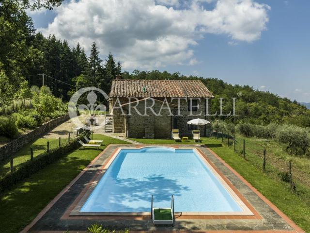 Casa in vendita a Unione di Comuni Valdarno e Valdisieve, Pelago