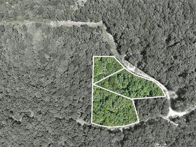 Land for sale in Lincoln, Missouri