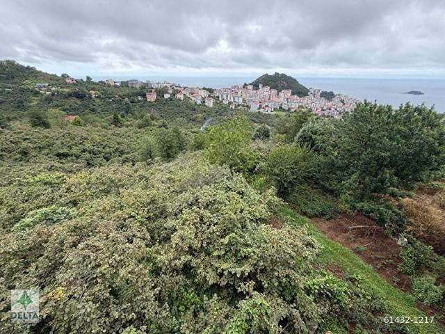 Giresun içerisinde satılık Arsa