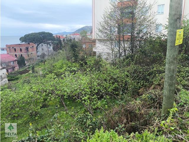 Giresun içerisinde satılık Arsa