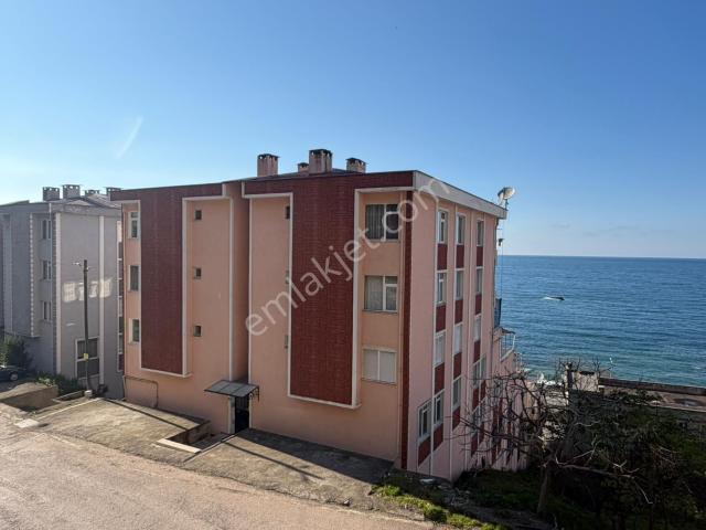 Giresun içerisinde kiralık mülk