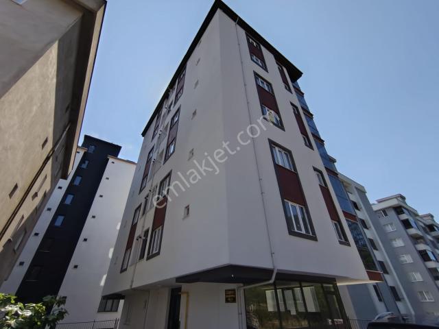 Giresun içerisinde kiralık mülk