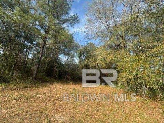Land for sale in Bay Minette, Alabama