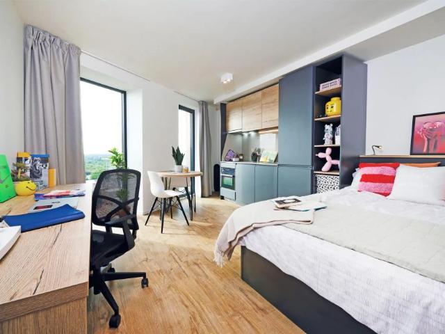 Studio for rent in Spon End, West Midlands