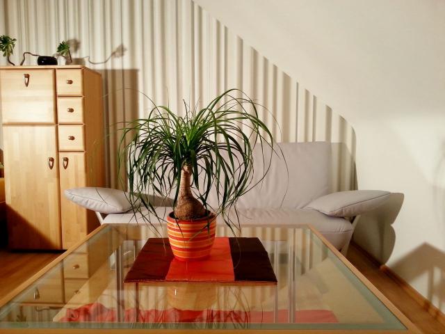 Apartment mieten in Sankt Leonhard, Nürnberg