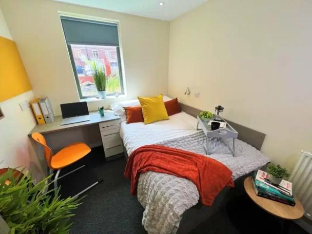 Room for rent in Upperthorpe, South Yorkshire