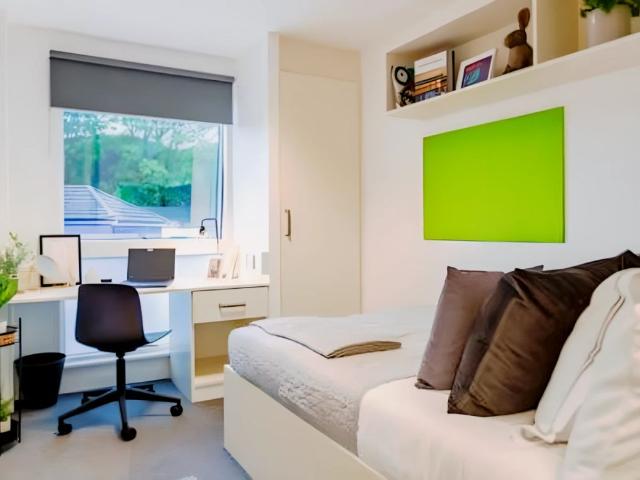 Room for rent in Round Hill, Brighton & Hove