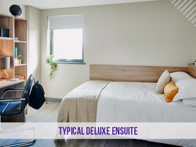 Room for rent in Cheylesmore, West Midlands