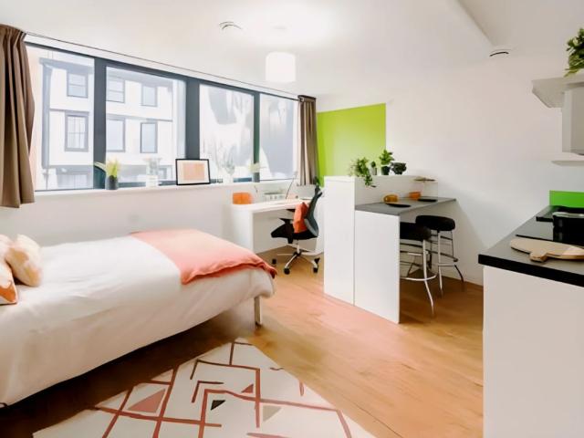 Studio for rent in City Centre, Feckenham